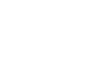 Aculeus_Newest_Link_Logo_800px_White